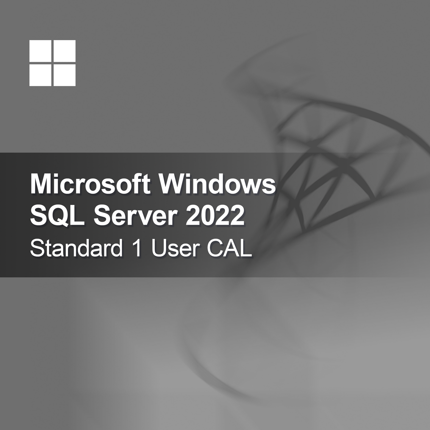 Microsoft SQL Server 2022 Standard 1 Χρήστης CAL