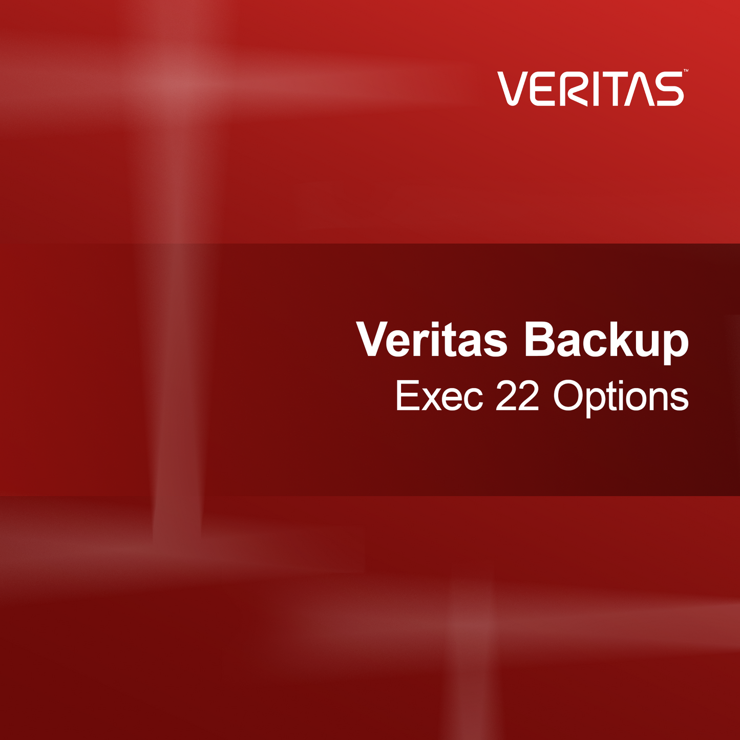 Επιλογές Veritas Backup Exec 22