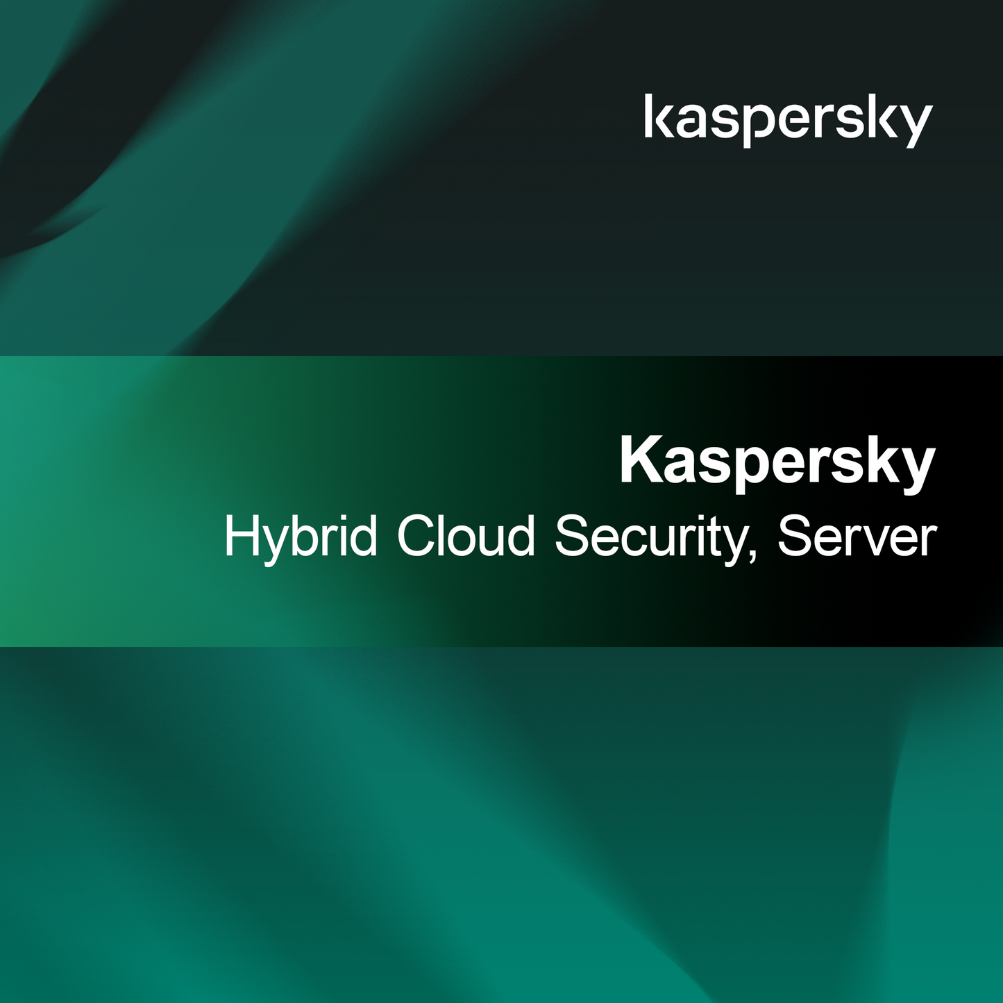 Kaspersky Υβριδική Ασφάλεια Νέφους, Διακομιστής