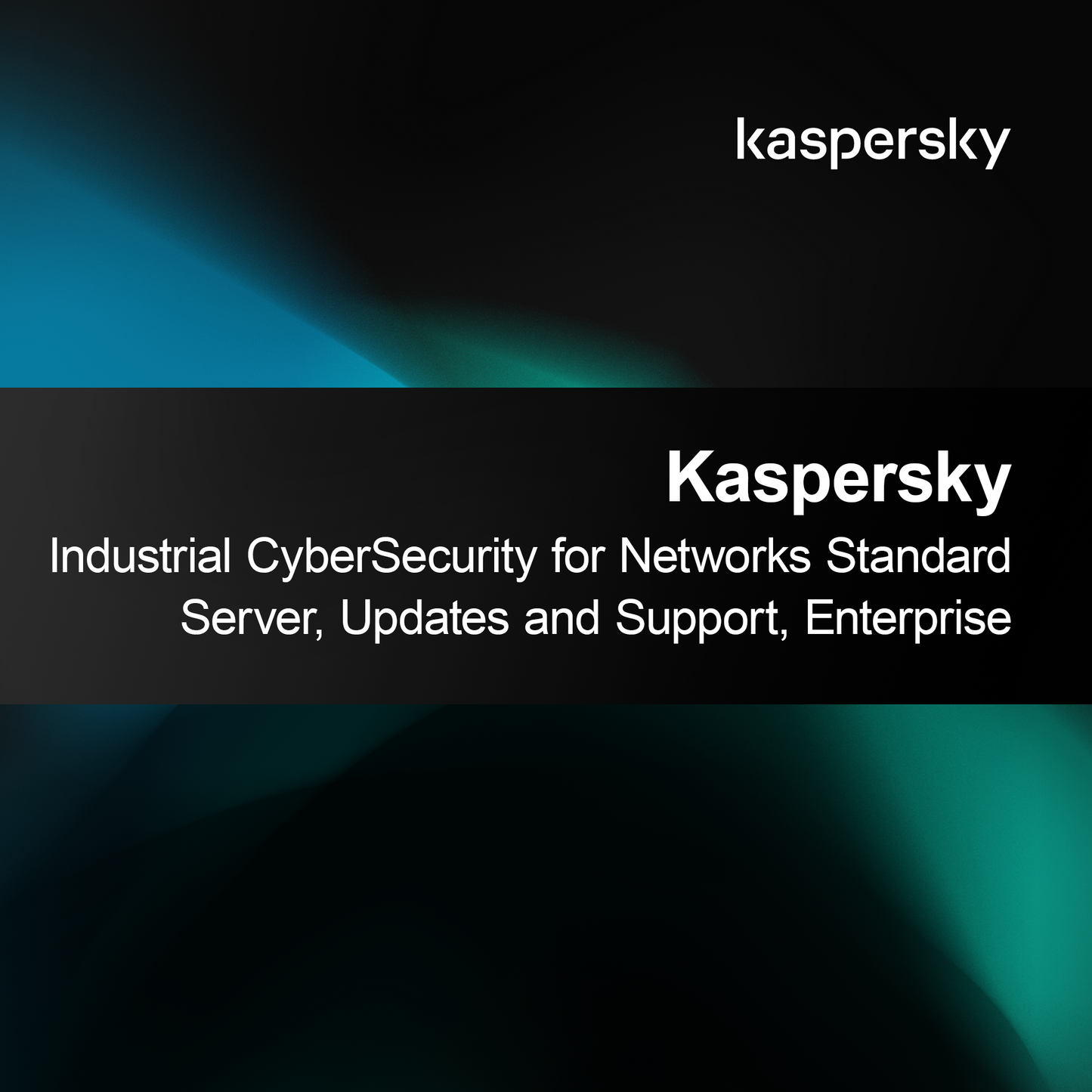 Kaspersky Industrial CyberSecurity για Δίκτυα Standard Server, Ενημερώσεις και Υποστήριξη, Επιχειρήσεις